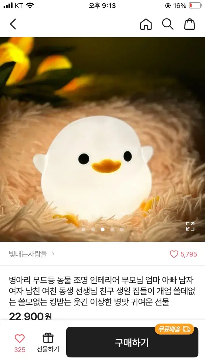 병아리 무드등