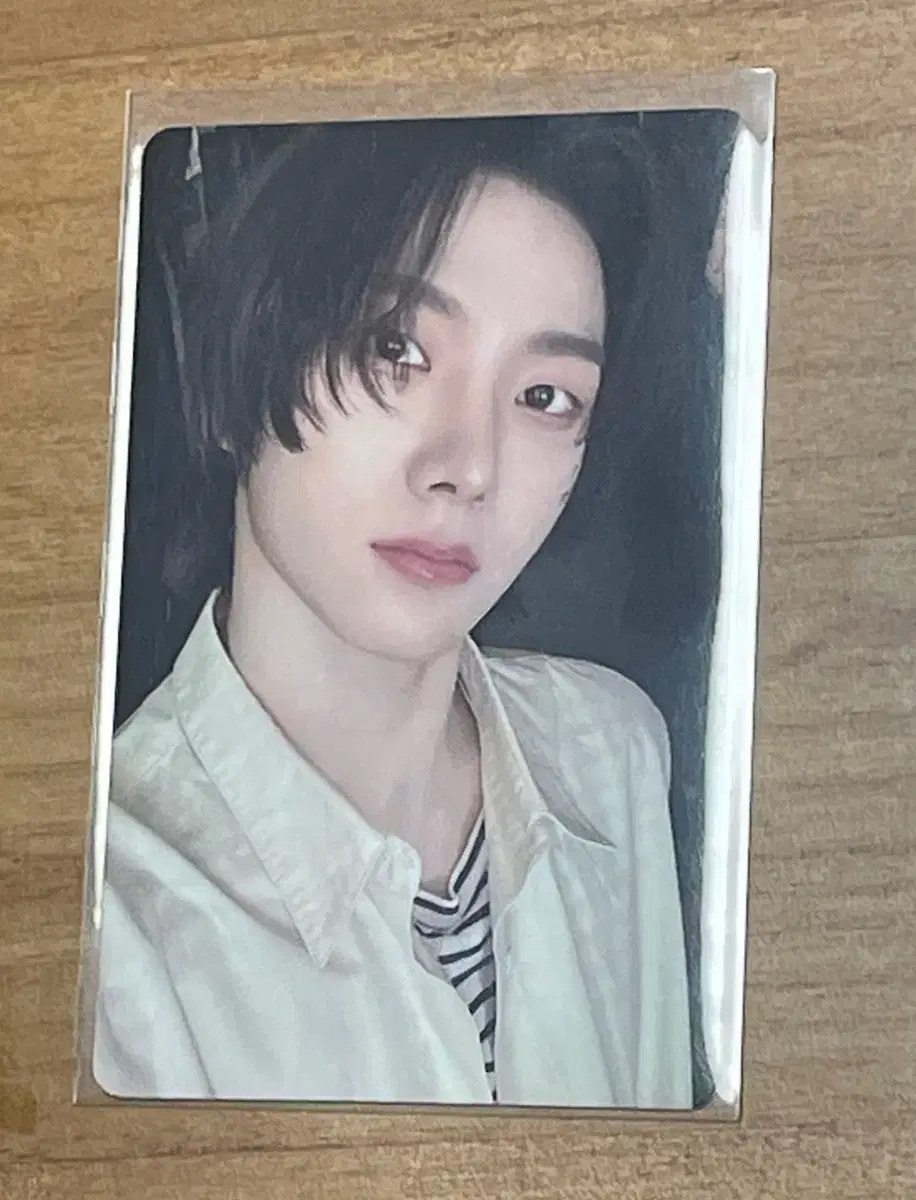 보넥도 보이넥스트도어 성호 19.99 앨범 포카