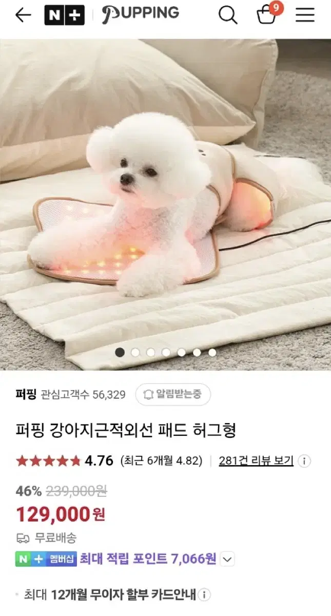 퍼핑 강아지 근적외선 패드 허드형 팝니다