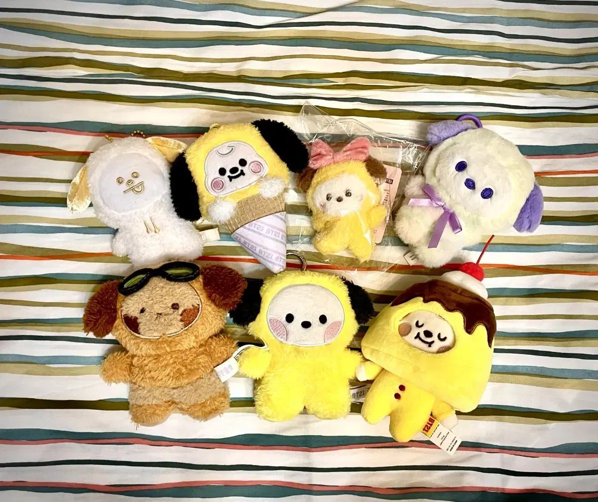 지민 치미 chimmy 일괄