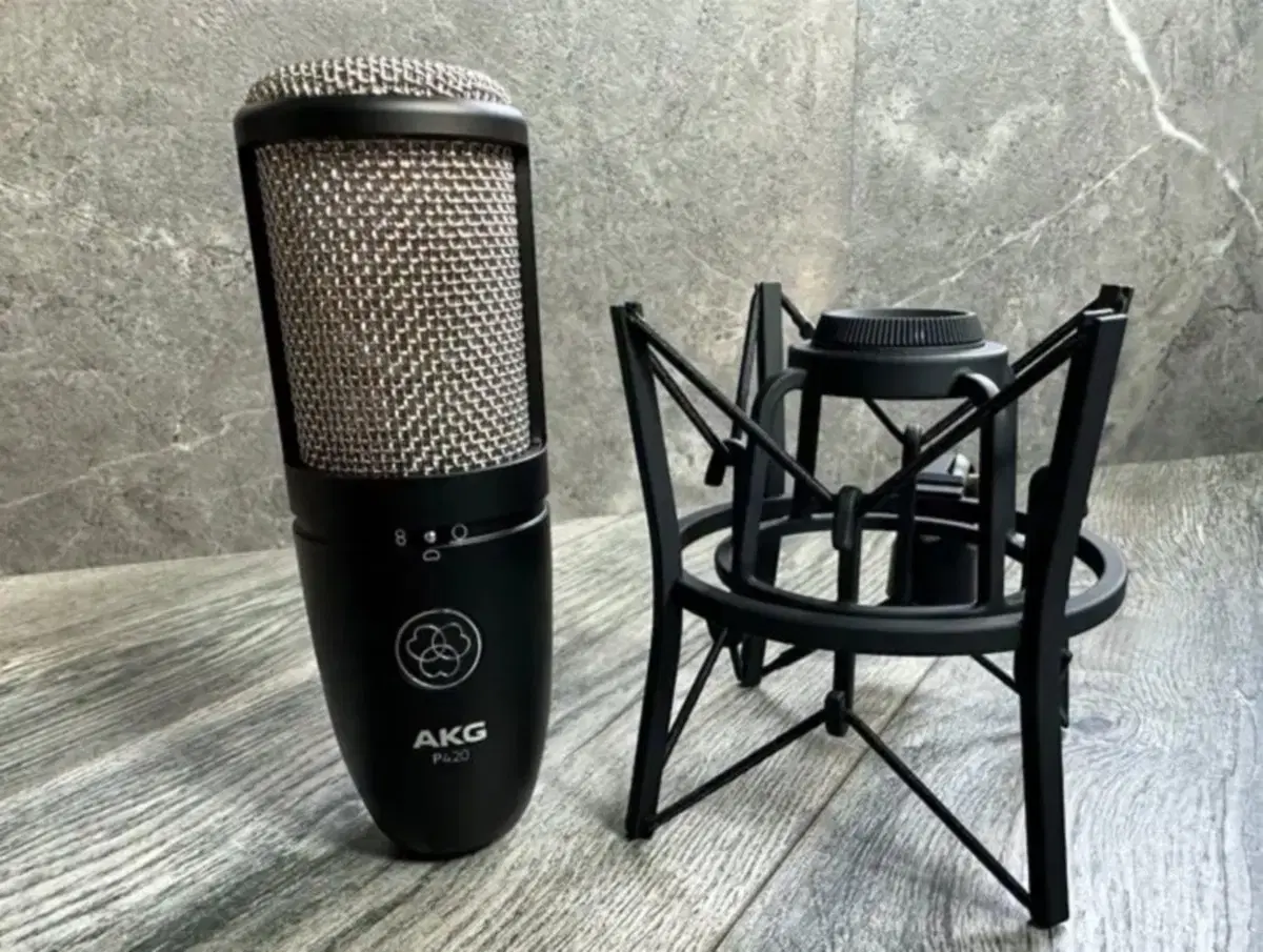 Akg p420 S급 풀구성