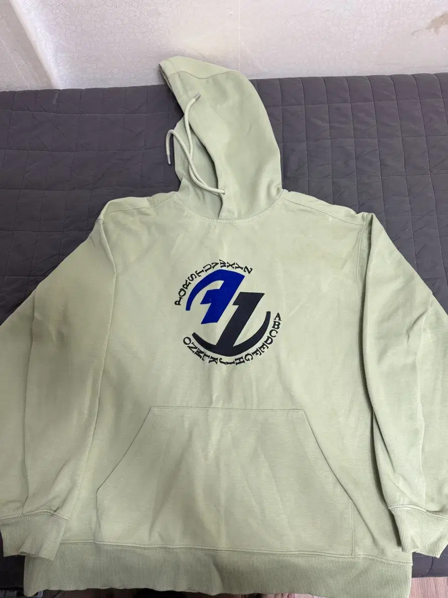 자라 아더에러 후드티 L/XL