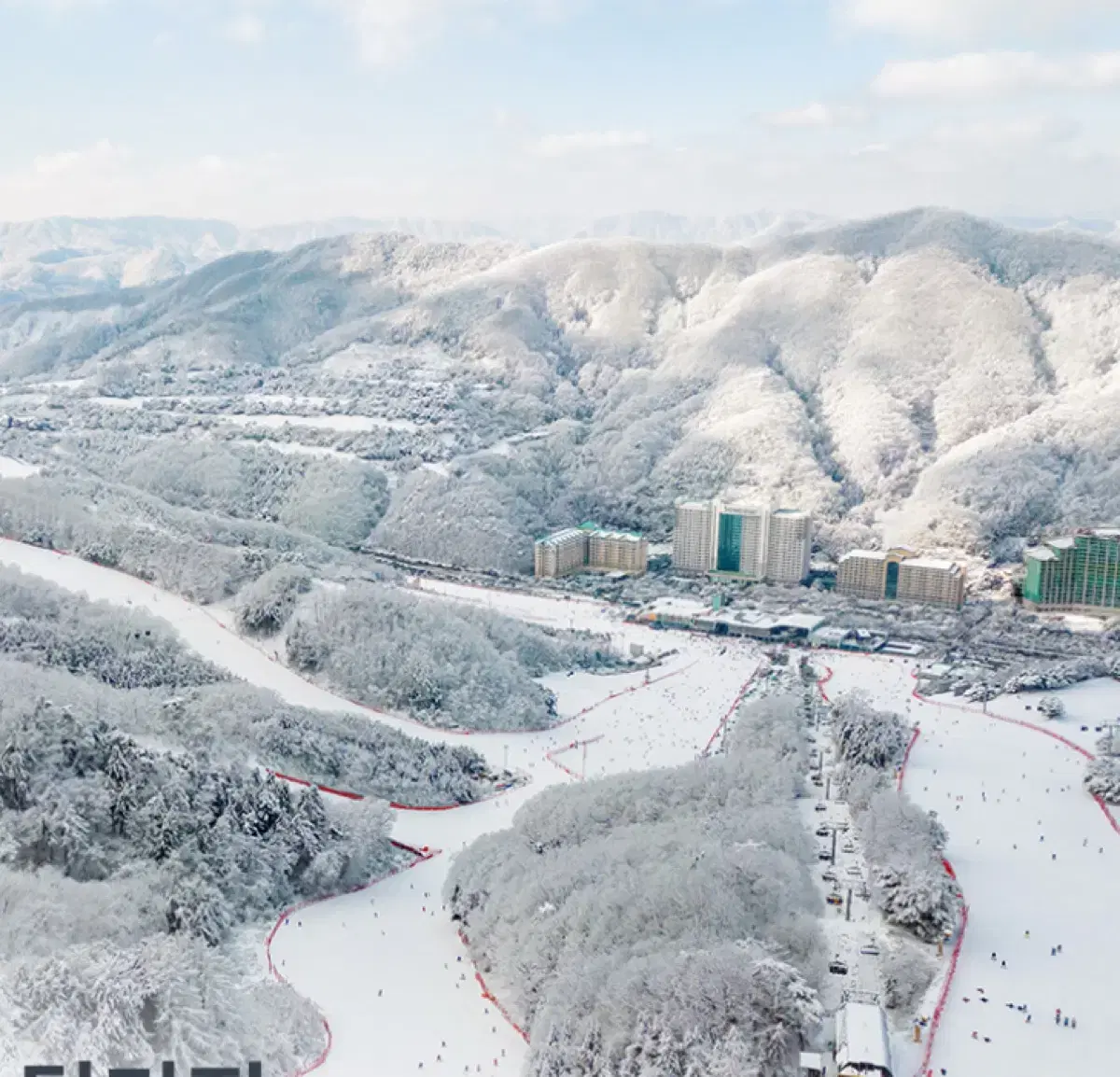 1/25(토) 비발디파크 패밀리 오크 양도