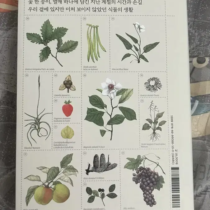 식물의 책 팝니다