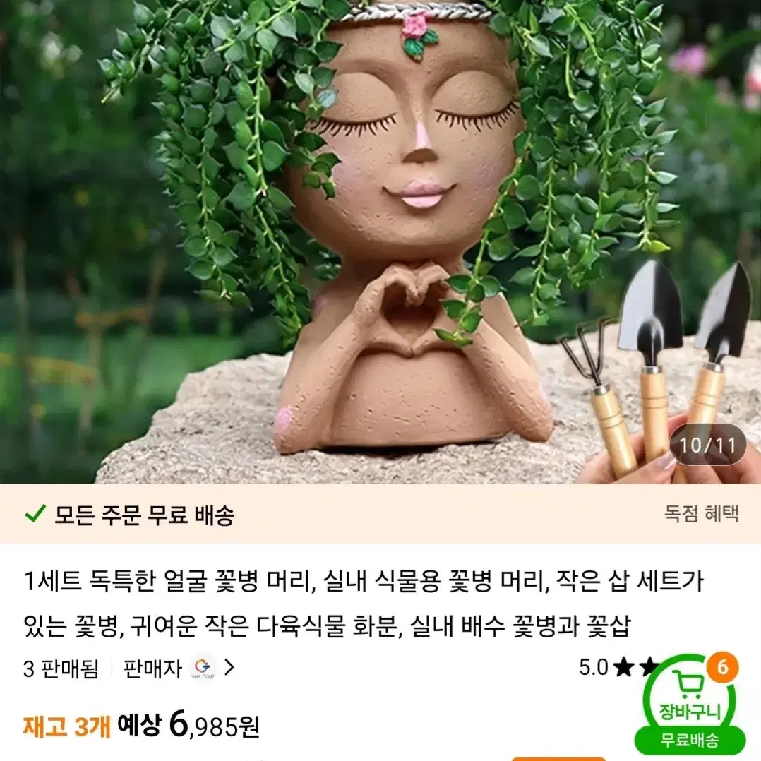 펜덴스 인형다육이 식물