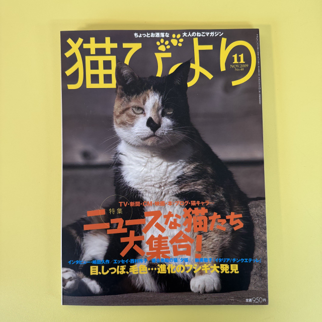 빈티지 잡지 네코비요리 2009-11 고양이 사진 화보 집사 네코 일본