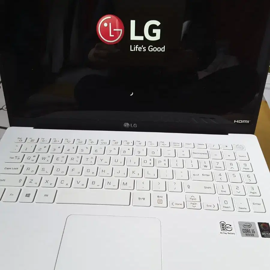 LG그램i5-1035G4 15Z90N-VP51ML SSD512