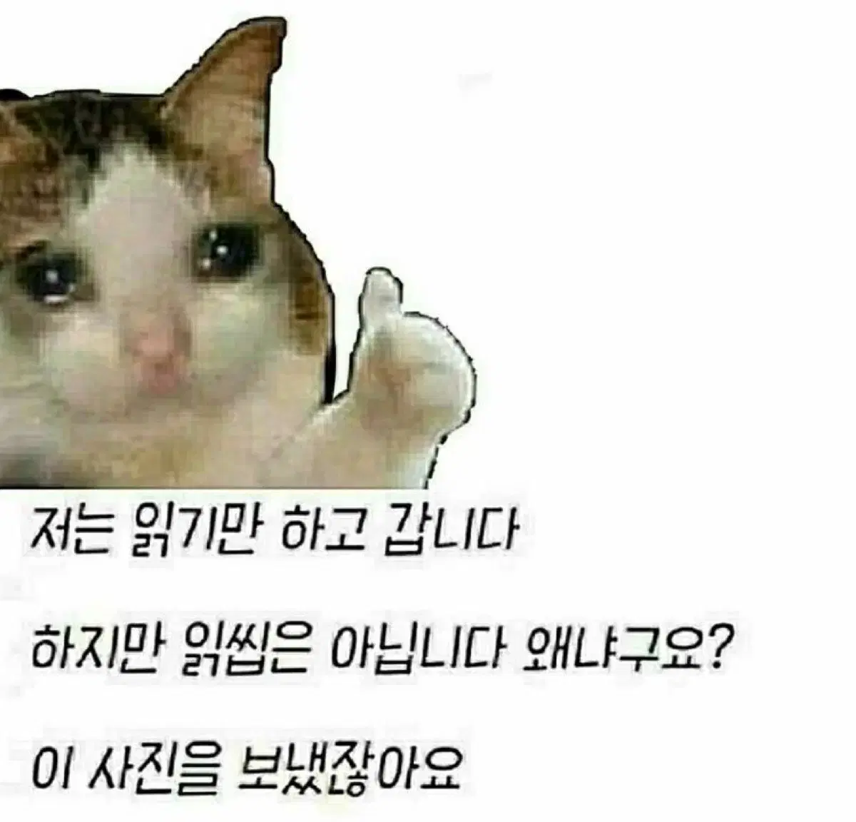 에이블리 옷