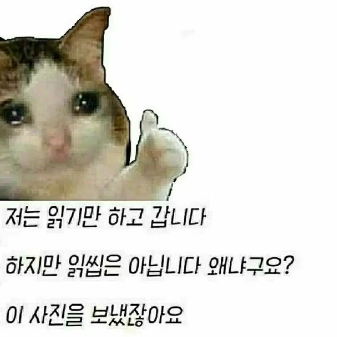 에이블리 옷