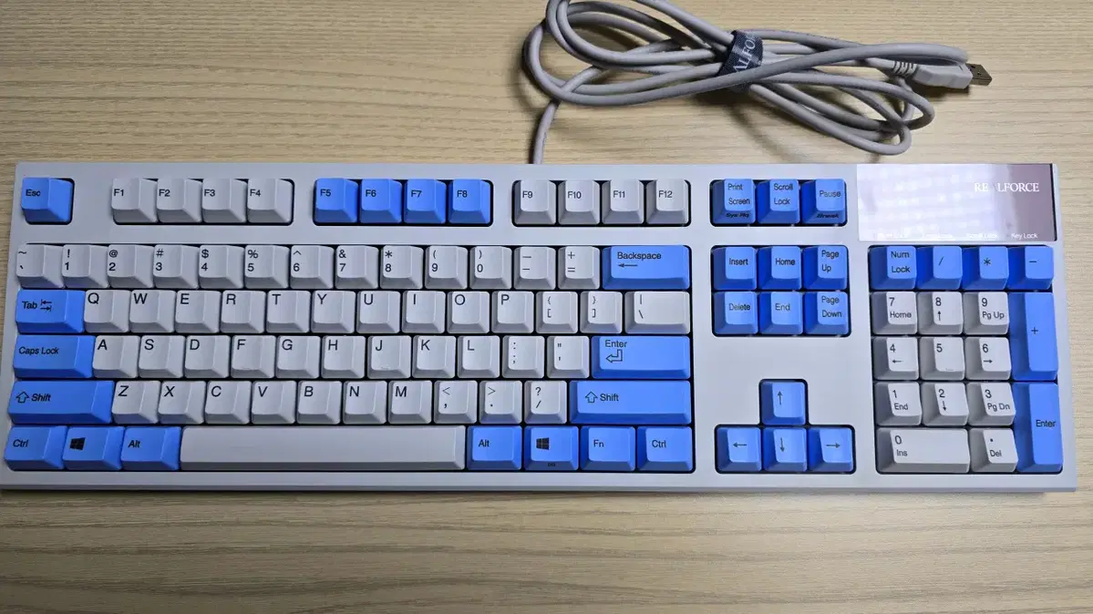 리얼포스 R2 저소음 30g 무접점키보드 realforce 한정판 키캡