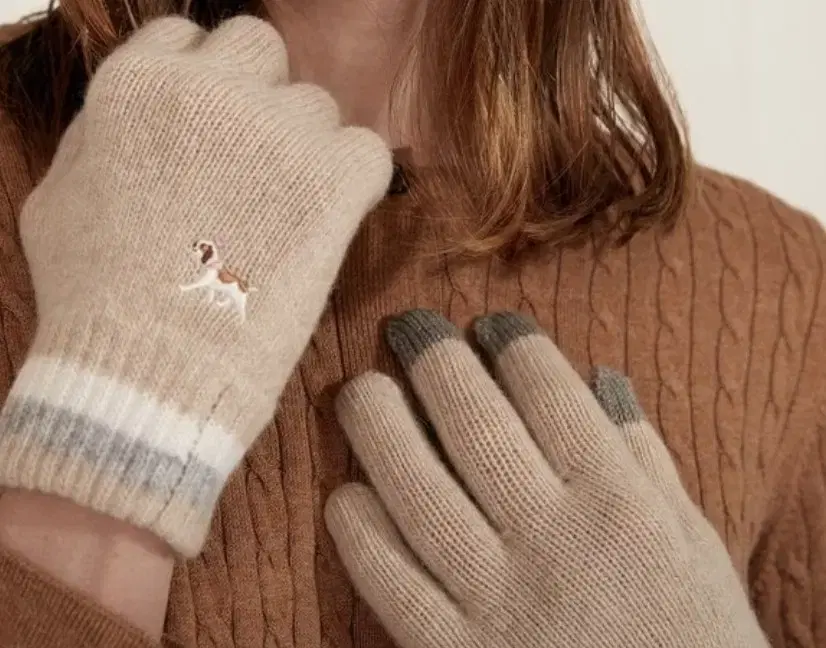 Hedges Gloves Online Limited Ivory Puppy Embroidered Wool Blend Gloves (vahn-geup)
