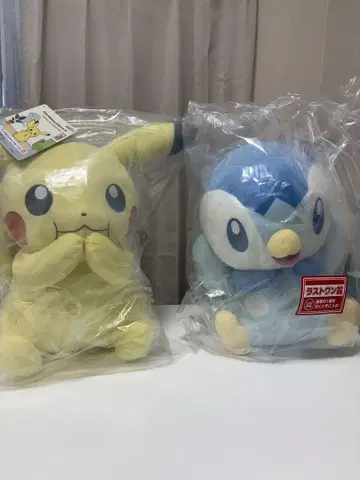 2024년 포켓몬제일복권 A상 라스트원 상품 세트 피카츄 팽도리