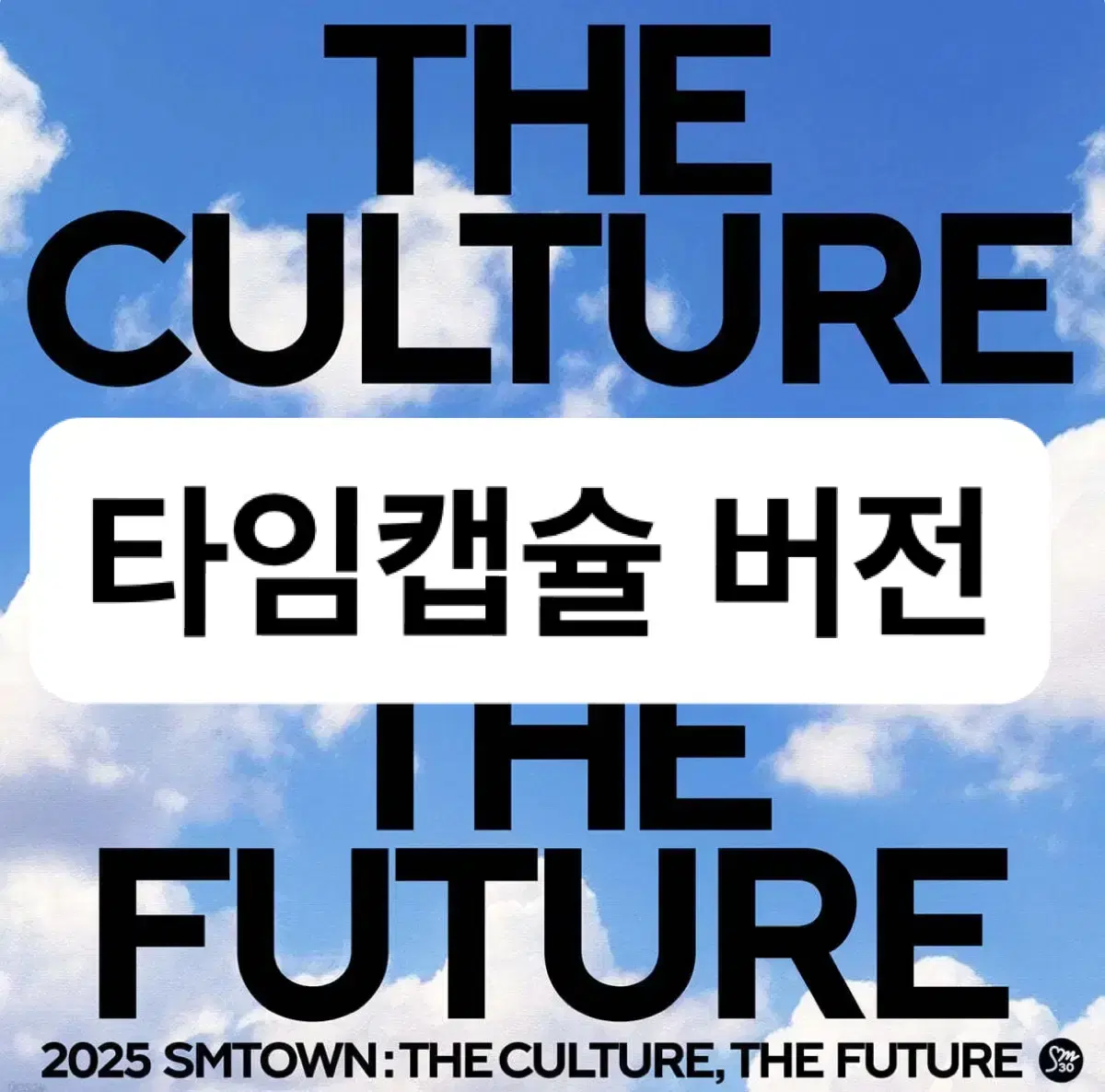 에스엠타운 smtown 2025 30주년 타임캡슐 스미니 엔시티 라이즈