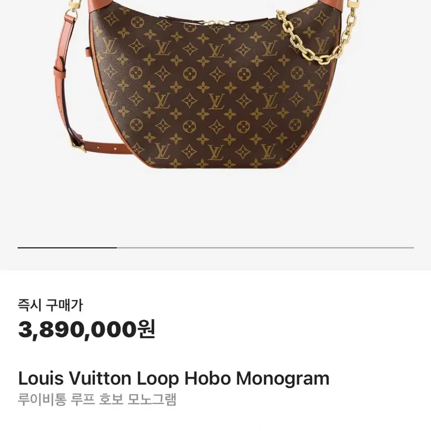 루이비통 루프 호보백 사진 1