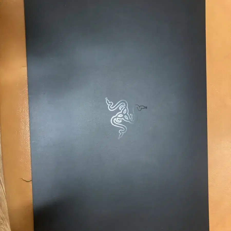 Razer Blade Stealth Gen10