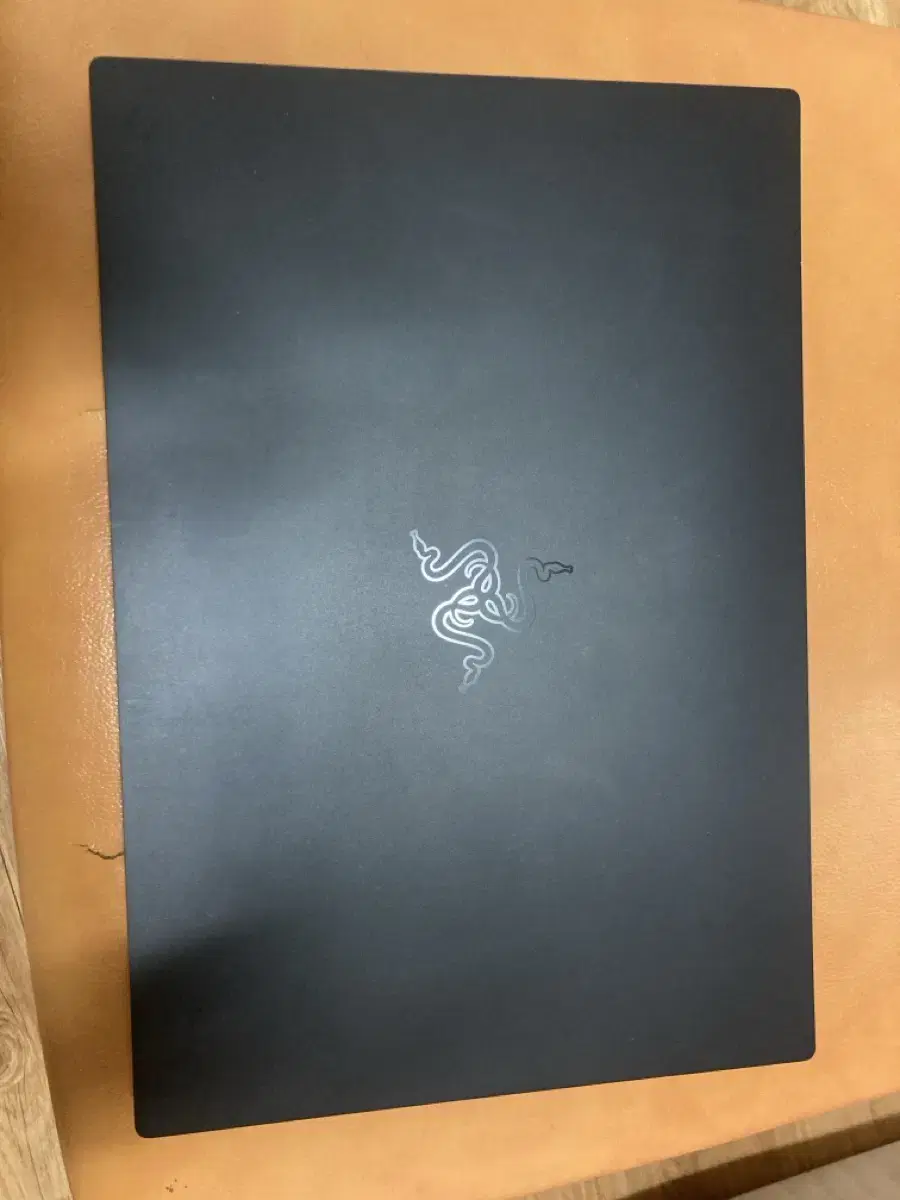 Razer Blade Stealth Gen10