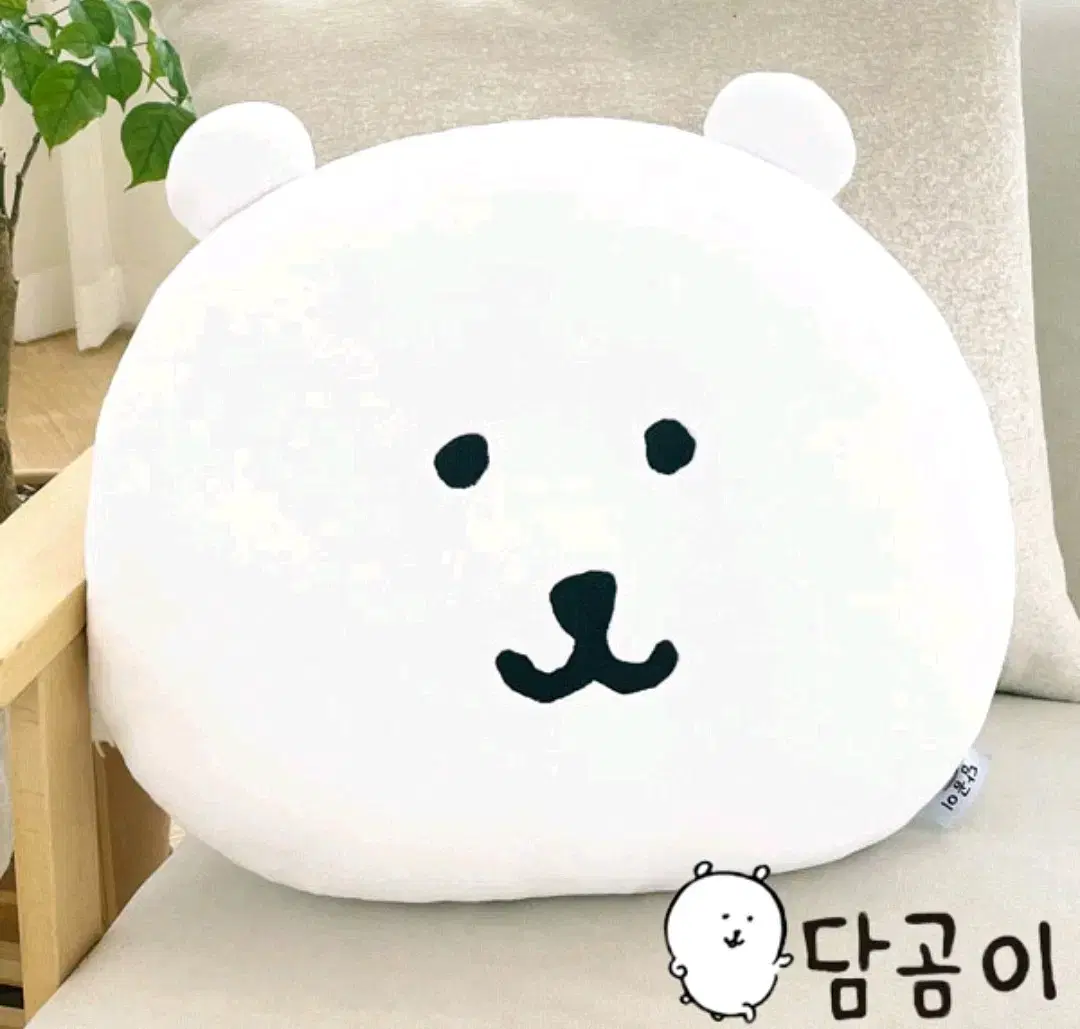 농담곰 얼굴 쿠션