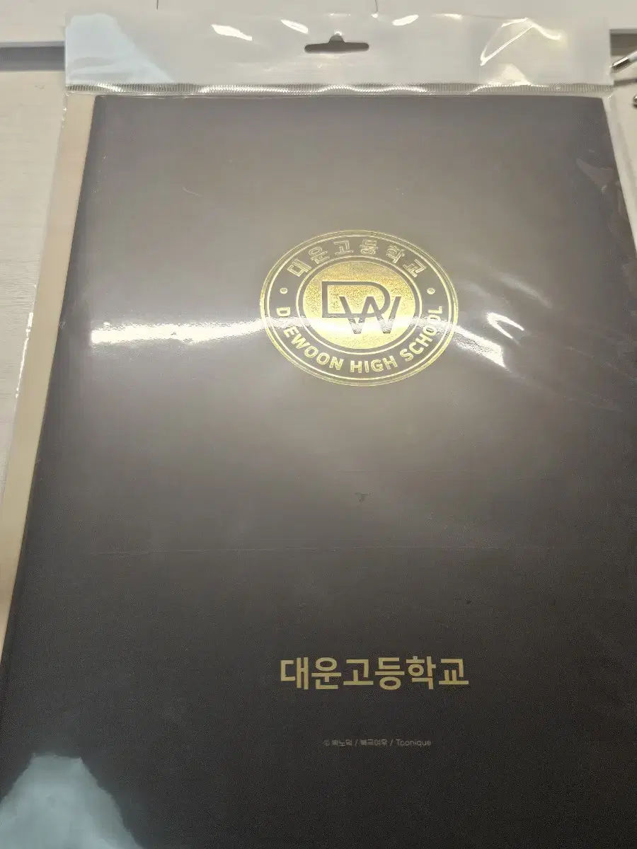 동정의 형태 너의 사랑에 대하여 너사대 동형 대운고 생활기록부