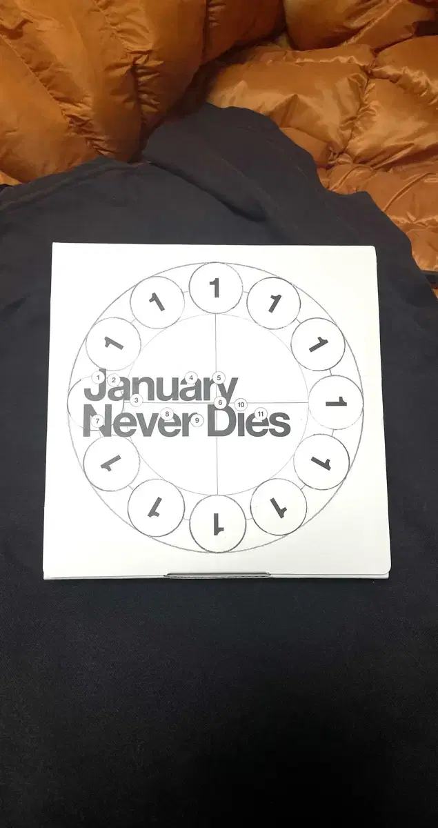 바밍타이거 앨범 January Never Dies 팝니다!