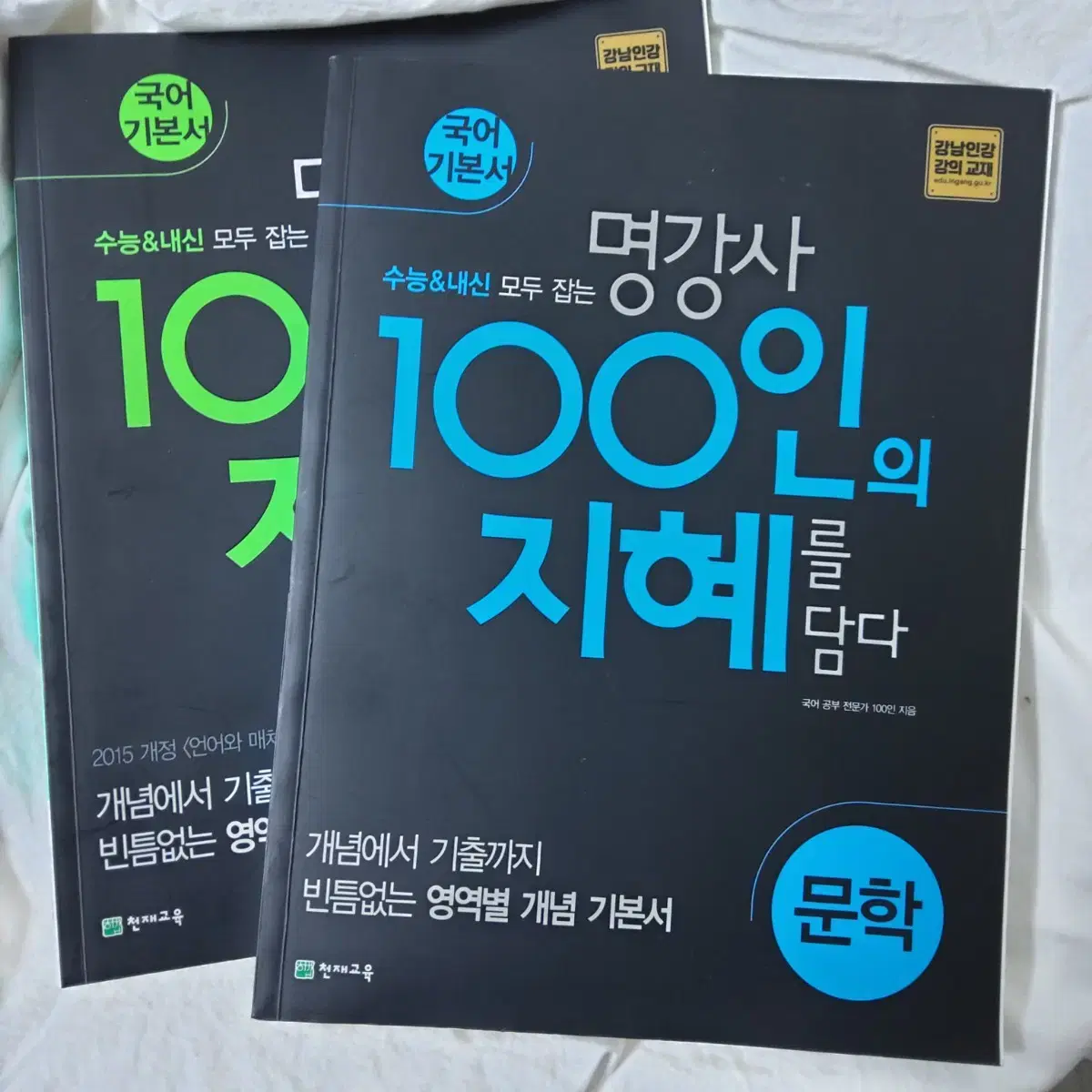 국어 100인의 지혜 문학 화작