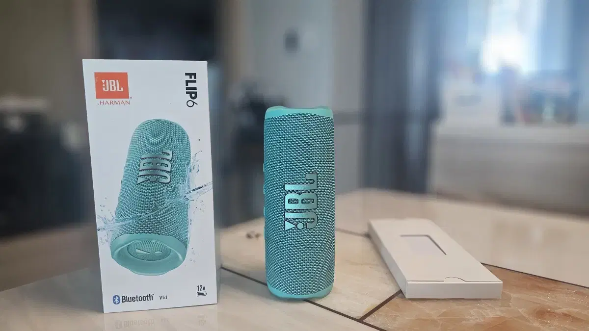 JBL 플립 6