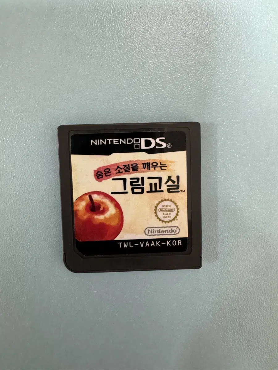 정품 그림교실 닌텐도 DS 알칩