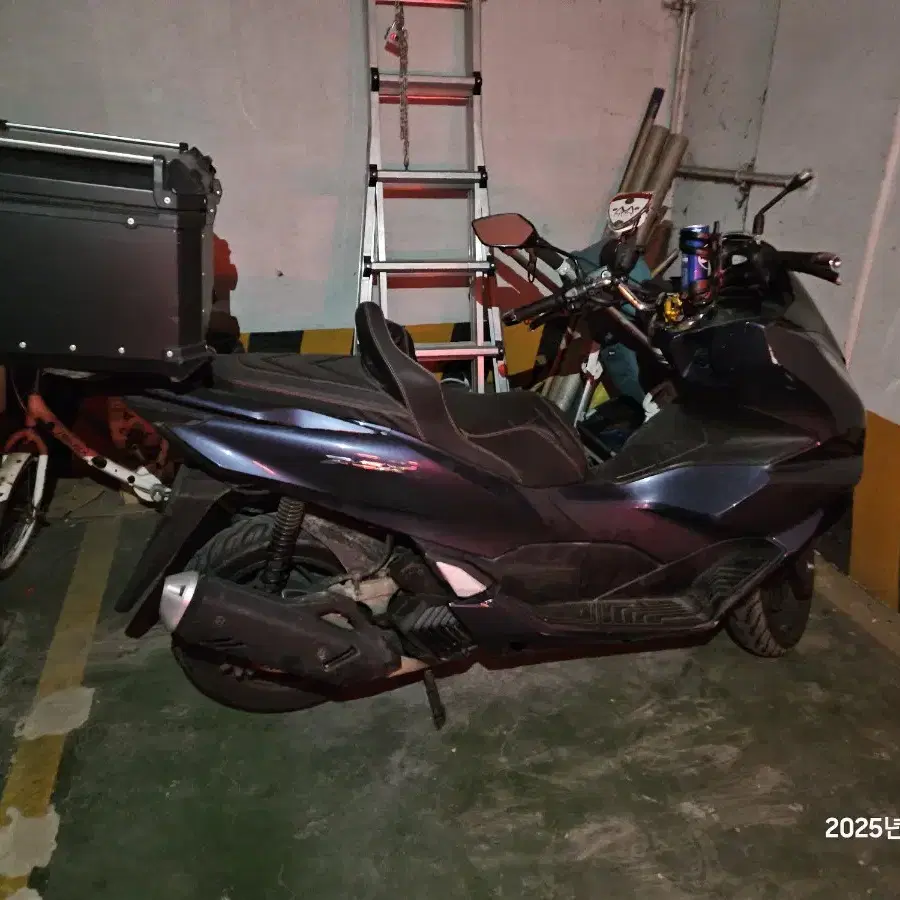 pcx 22년