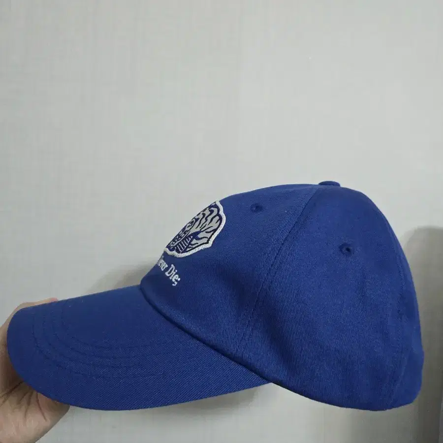 온고 매듭 볼캡 ongo knot cap blue