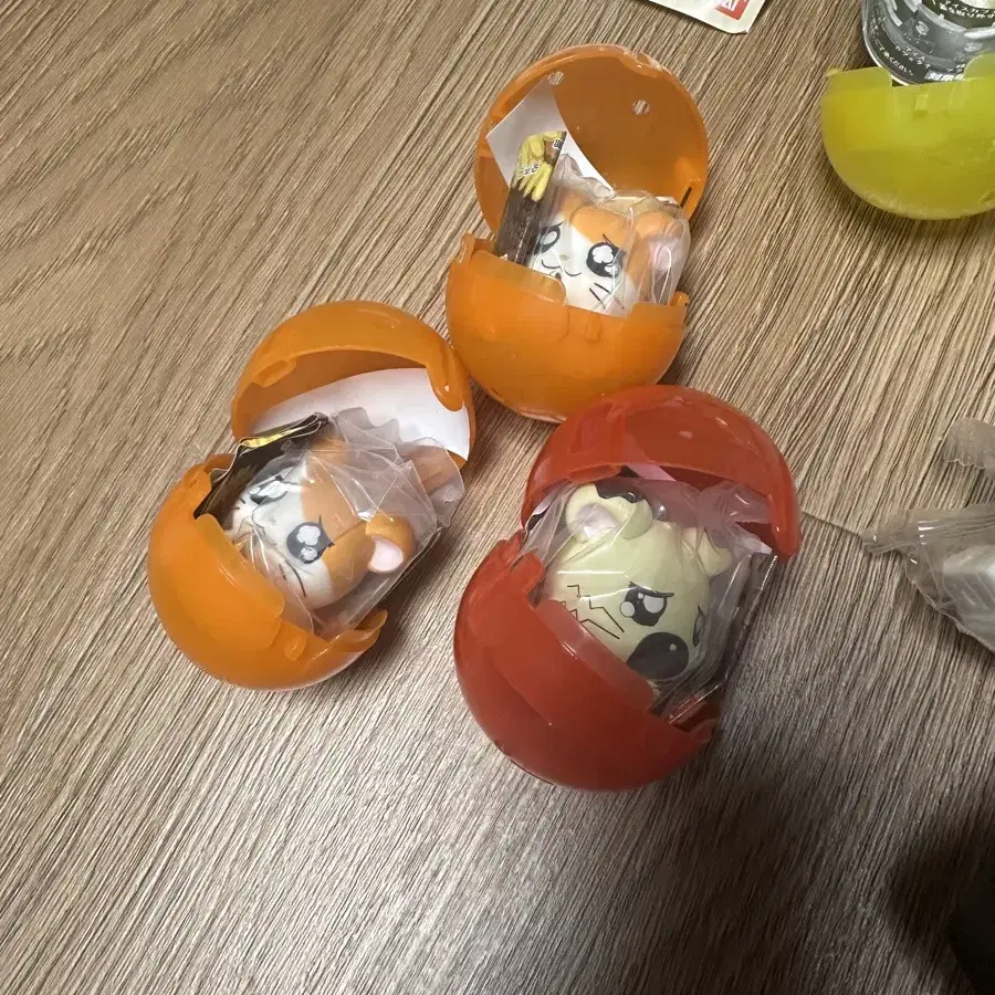 햄토리 흰둥이