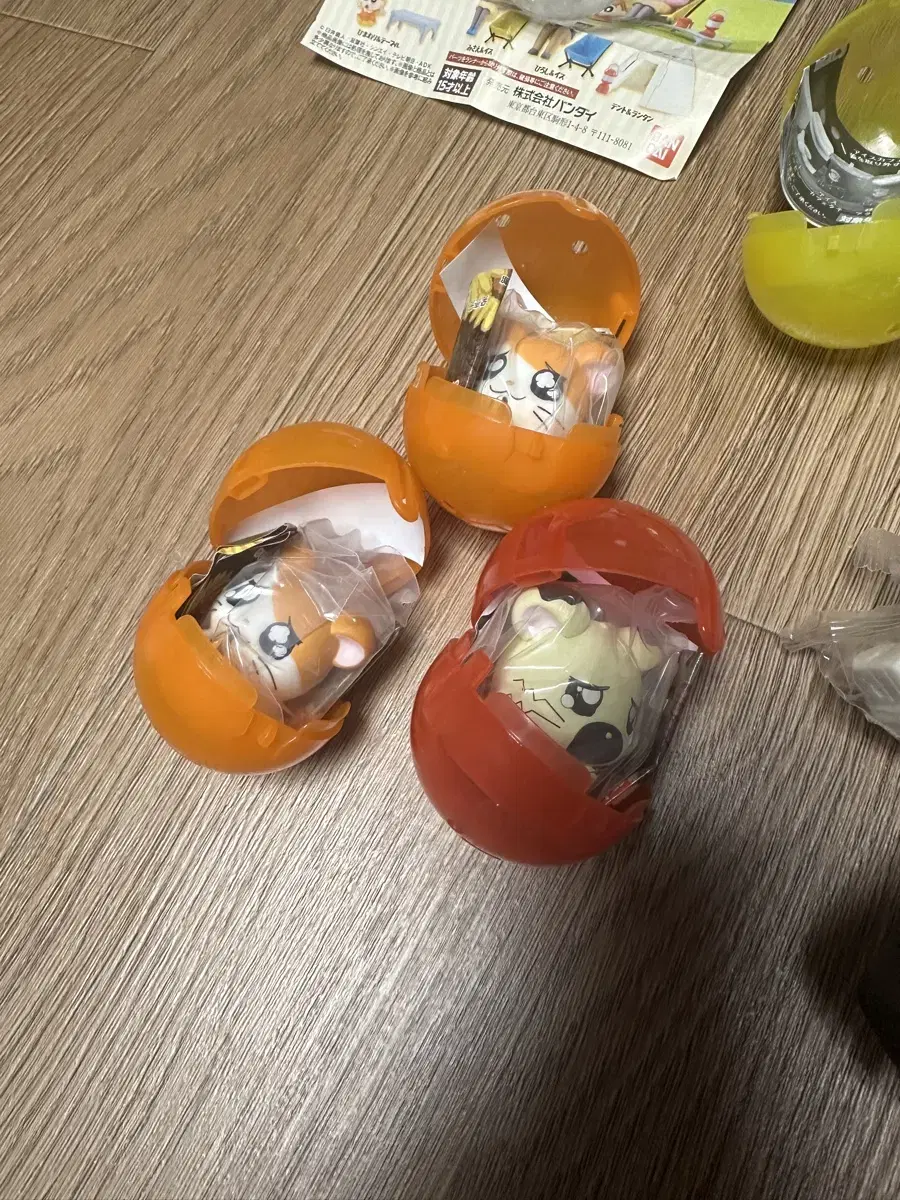 햄토리 흰둥이