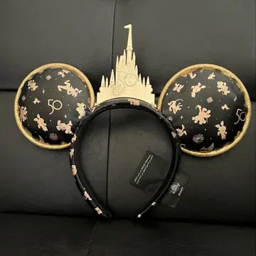 WDW 50주년 기념 피날레 카츄샤 신데렐라 캐슬