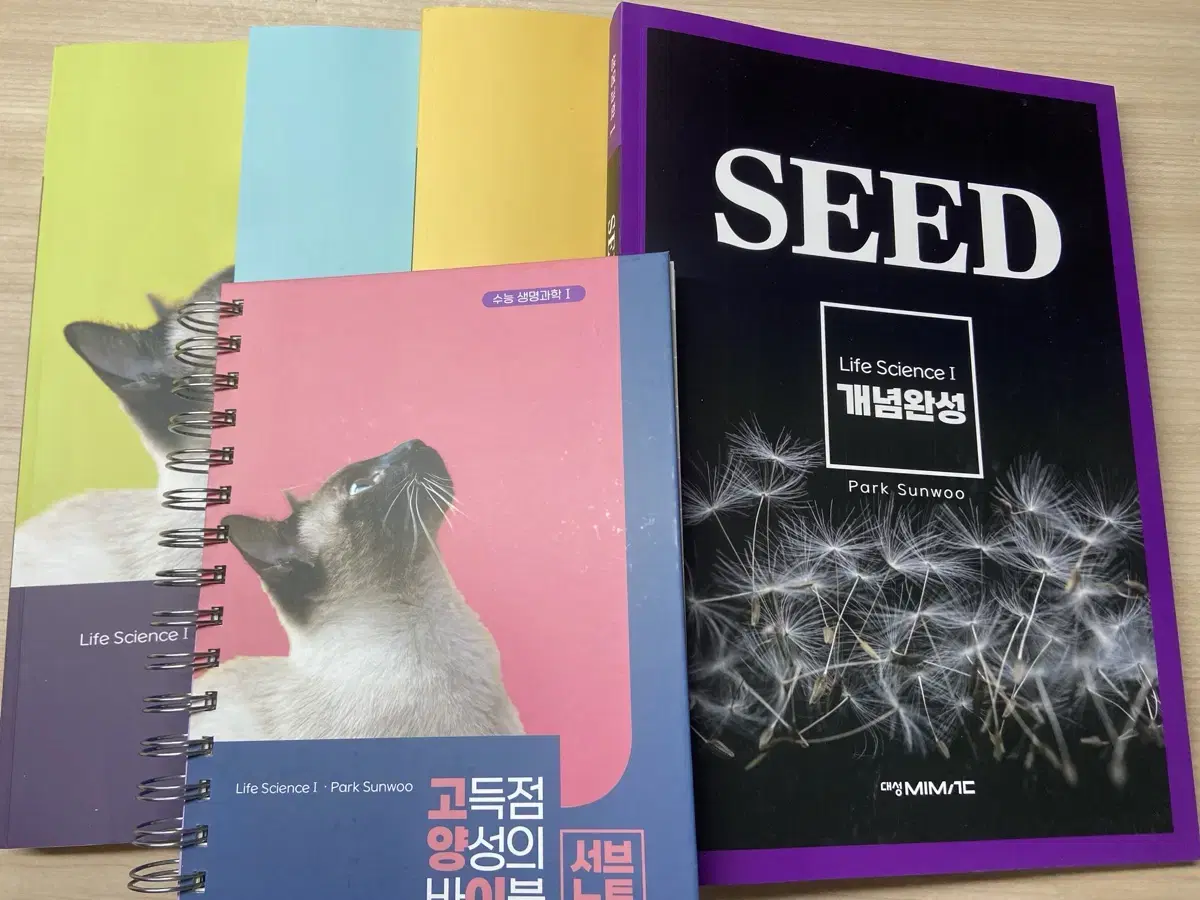 2026 박선우 seed 개념완성 고양이