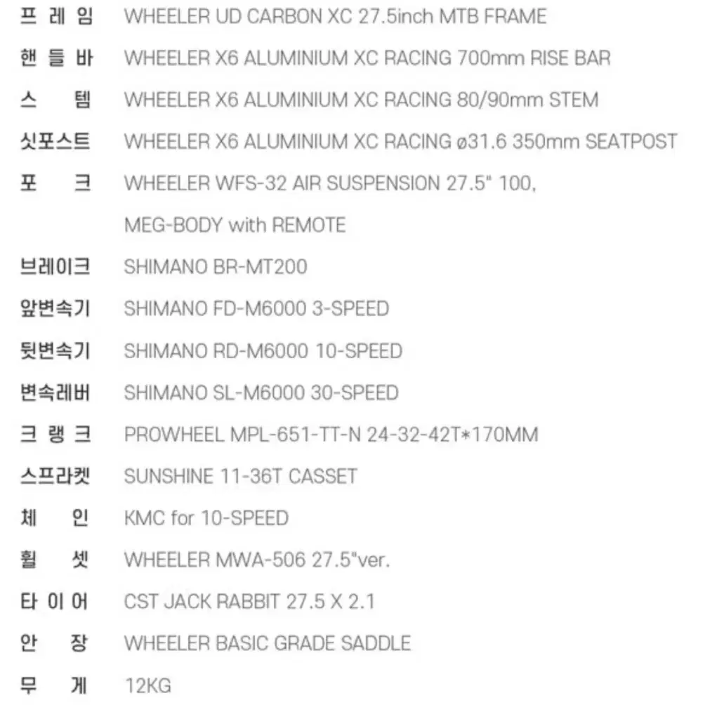 휠러 프로톤 300 MTB