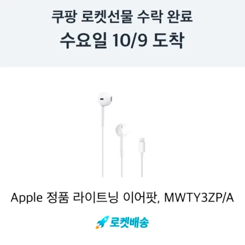 Apple 정품 라이트닝 이어팟