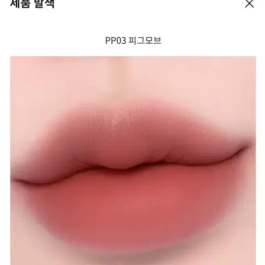 바닐라코 프렌치레드 피그모브 엠버베이지 텐더브리즈 모브쉐어