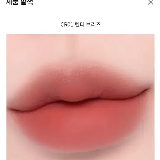 바닐라코 프렌치레드 피그모브 엠버베이지 텐더브리즈 모브쉐어