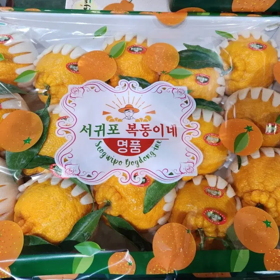 복동이네 한라봉