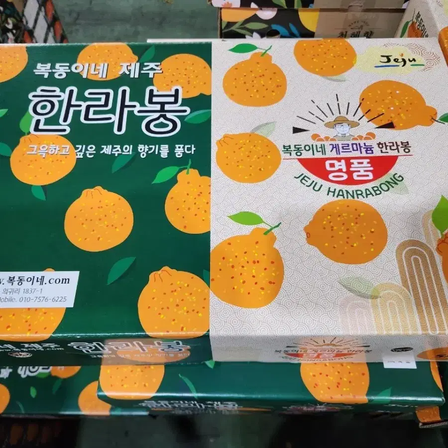 복동이네 한라봉