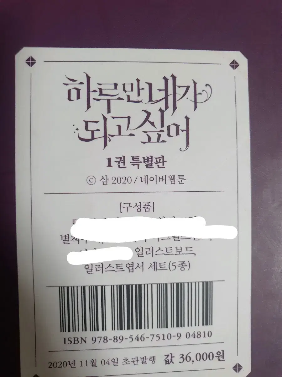 하루만 네가 되고싶어 특별판