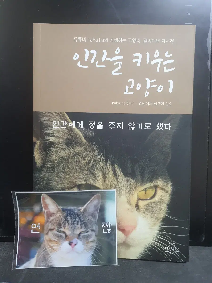 [중고] 인간을 키우는 고양이(2권)+비닐백