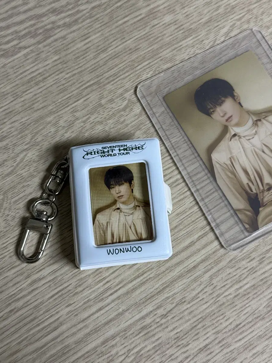 SEVENTEEN wonwoo MINI collect book photocard Included