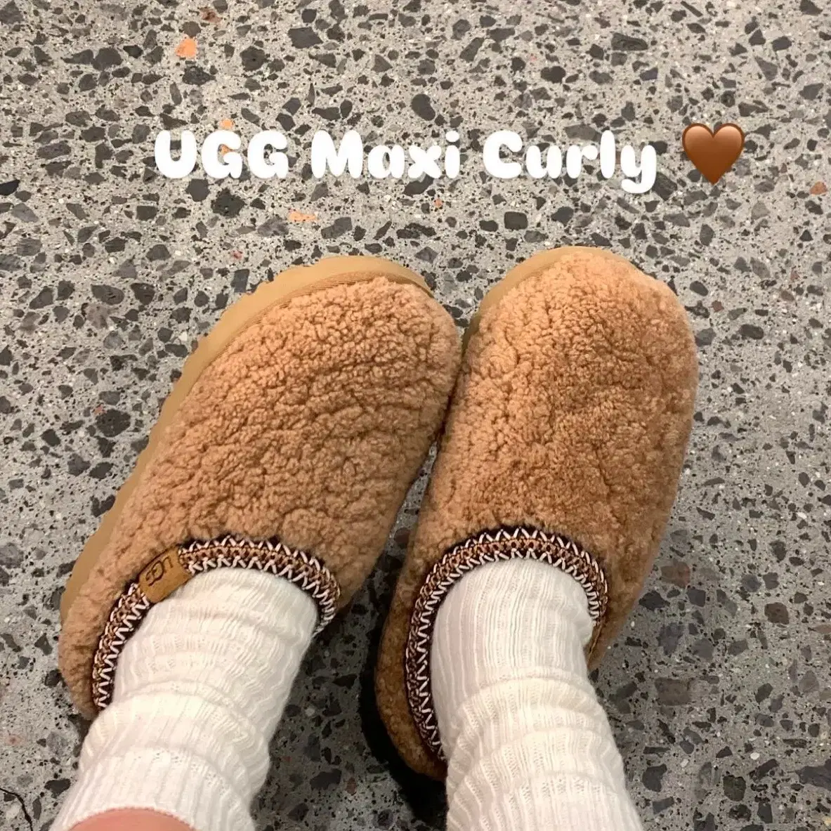 정품 UGG 타스만 맥시 컬리 235-240