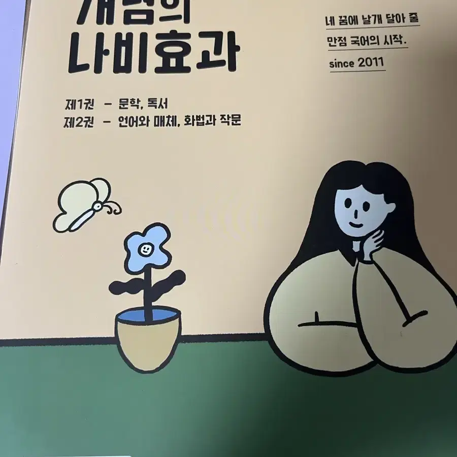 개념의 나비효과 2024