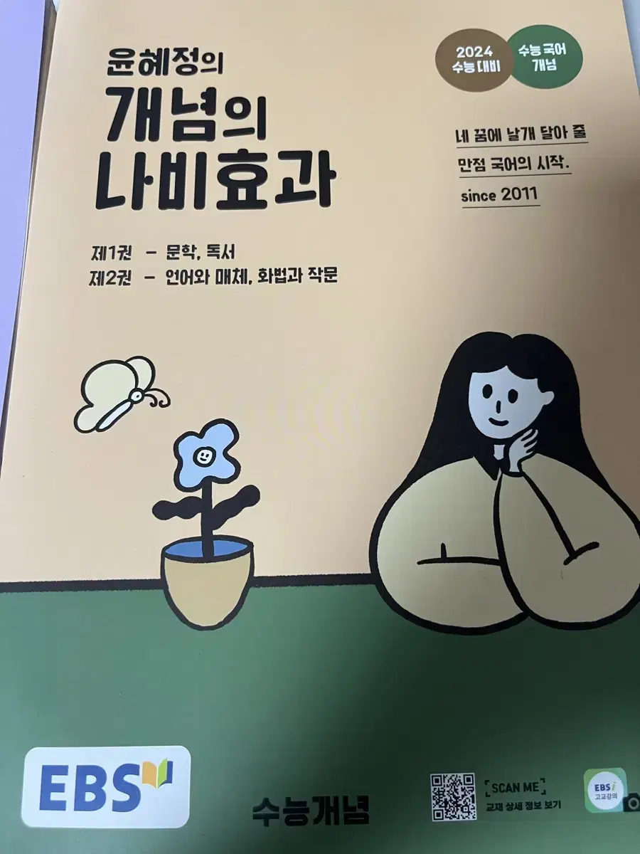 개념의 나비효과 2024