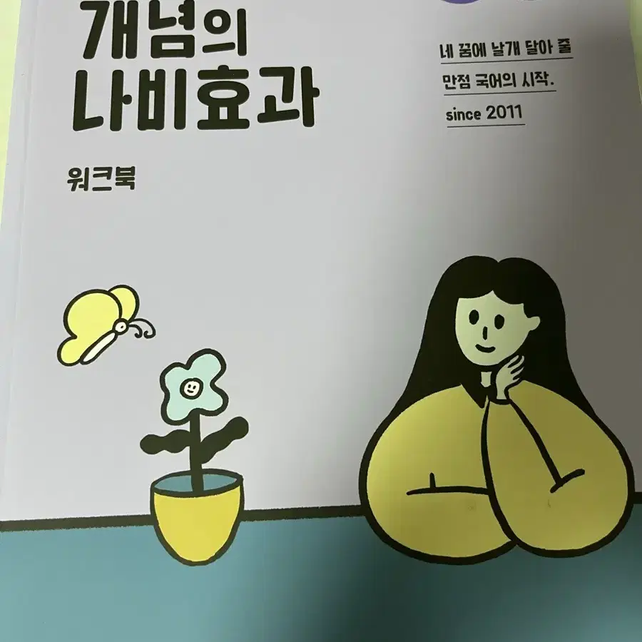 개념의 나비효과 2024