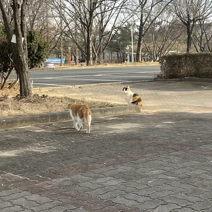 아이폰8레드 다른 아이폰이랑 교환원해요,판매도 합니다