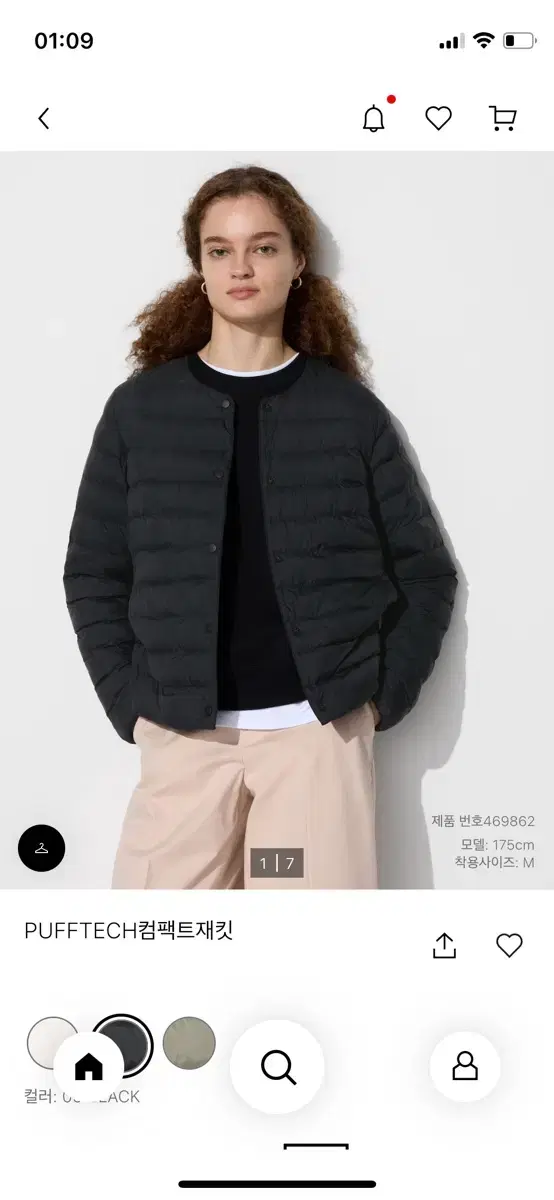 UNIQLO Lightweight Down Jacket