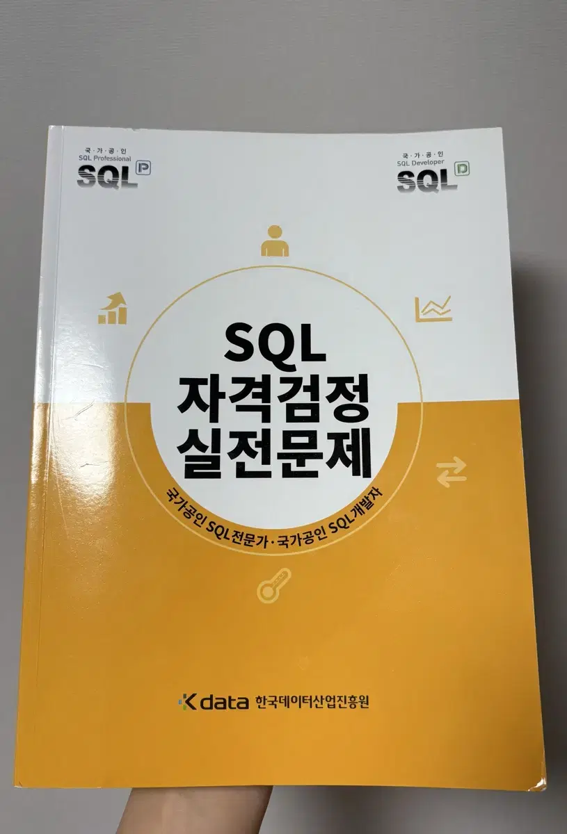 SQLD 노랭이