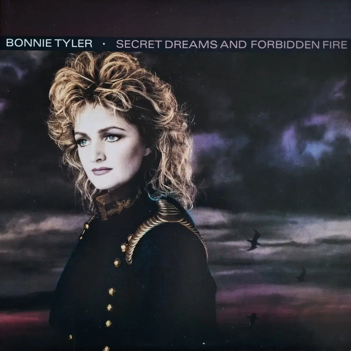 수입반/Bonnie Tyler - Secret dreams LP