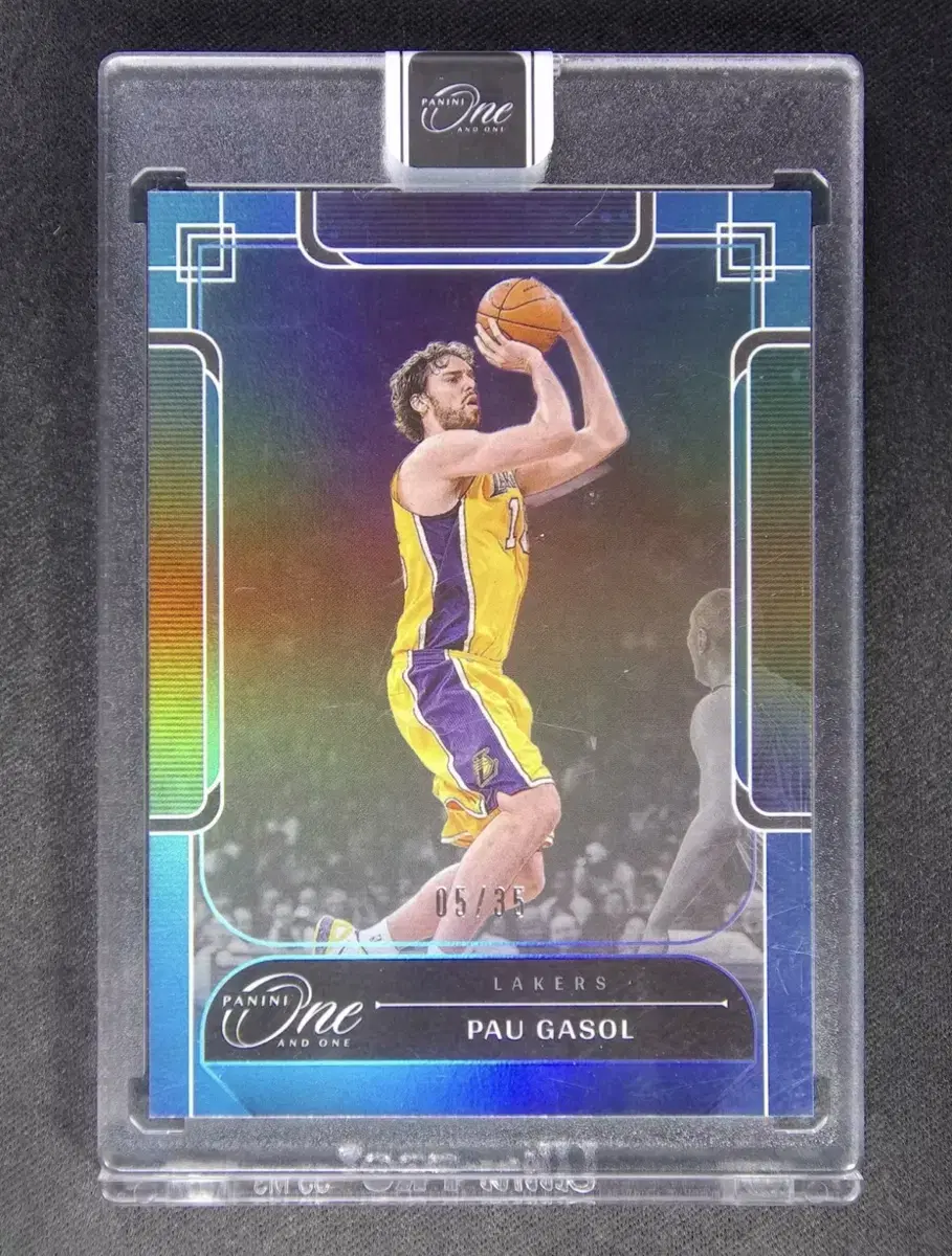 2023-24 panini One And One PauGasol #161